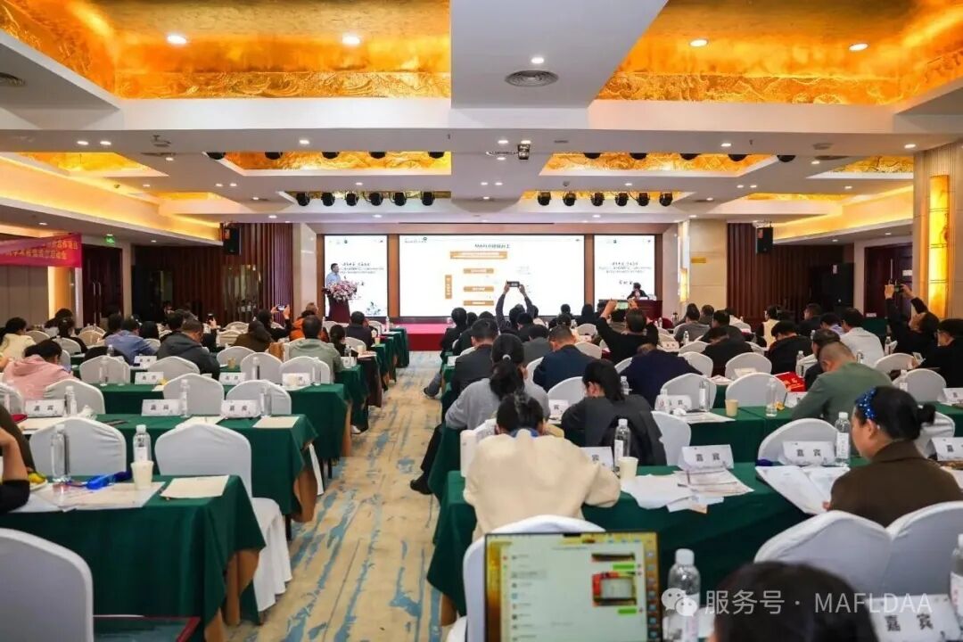 会议速递|湖南省代谢相关脂肪性肝病学术联盟成立暨《病证结合MAFLD全国多中心注册登记研究》启动会圆满召开 会议速递|湖南省代谢相关脂肪性肝病学术联盟成立暨《病证结合MAFLD全国多中心注册登记研究》启动会圆满召开